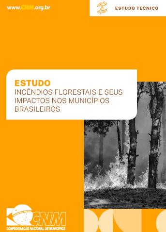 Estudo: Incêndios Florestais e seus Impactos nos Municípios Brasileiros